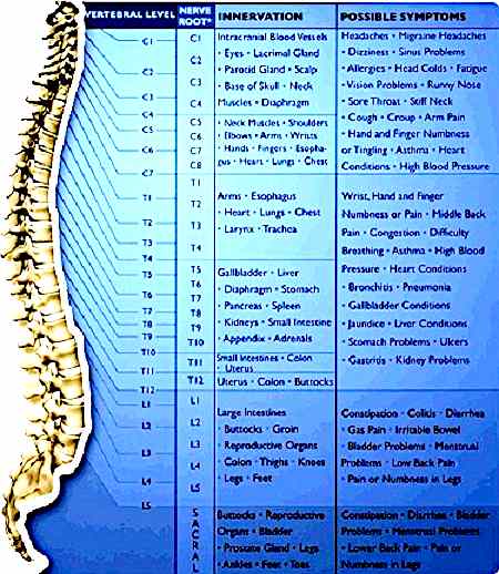 Vertebral Subluxation Complex (VSC)